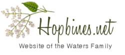 Hopbines Logo