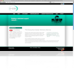 Executive Career Advisory Service, Bitteswell