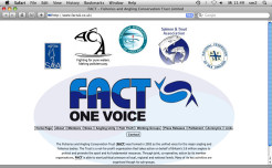Website Portal Design &raquo; FACT