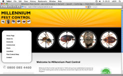 eCommerce Site Design » Millennium Pest Control