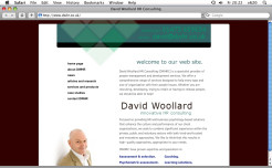 Website Development » David Woollard HR